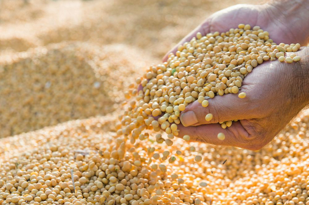 Agricultural Products